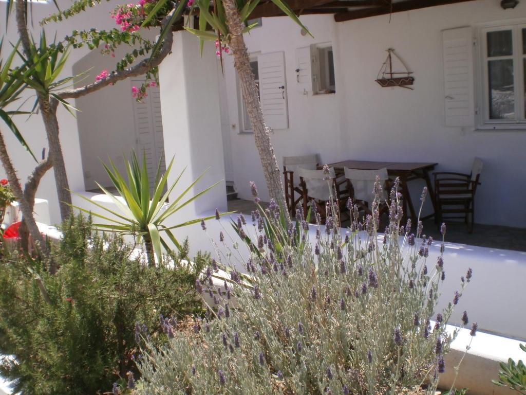 Paros Rita Studios Piso Livadi Exterior photo